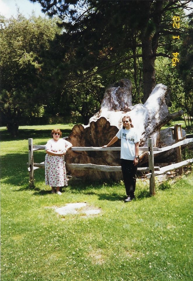 Christopher and Janet Johnson standing in front of cut tree